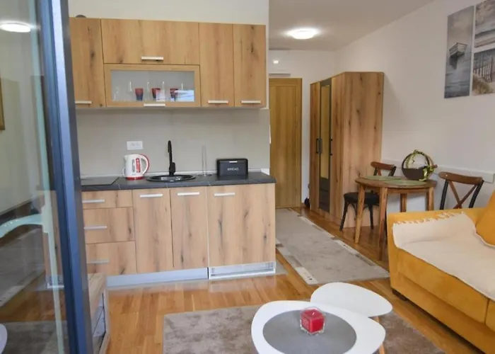 شقة Sara Vrnjačka Banja